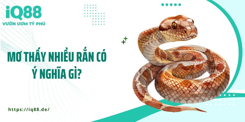 mo-thay-nhieu-ran-co-y-nghia-gi