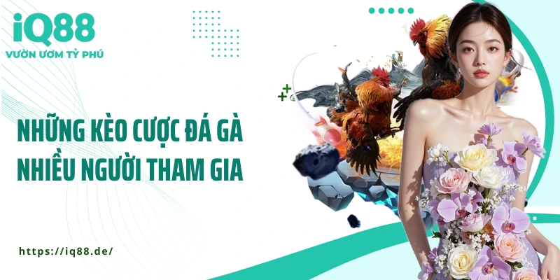 nhung-keo-cuoc-da-ga-duoc-nhieu-nguoi-tham-gia