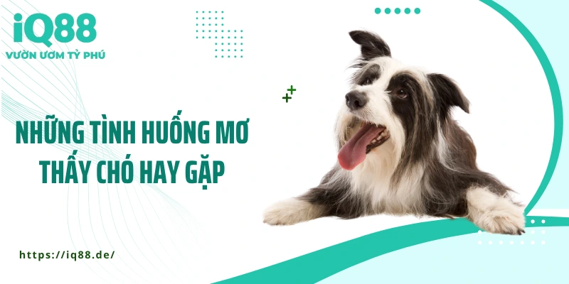 nhung-tinh-huong-mo-thay-cho-hay-gap