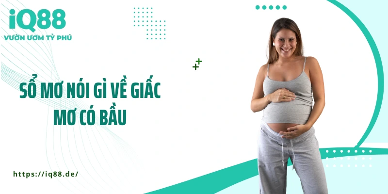 so-mo-noi-gi-ve-giac-mo-co-bau