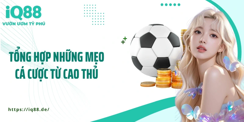 tong-hop-nhung-meo-ca-cuoc-tu-cao-thu