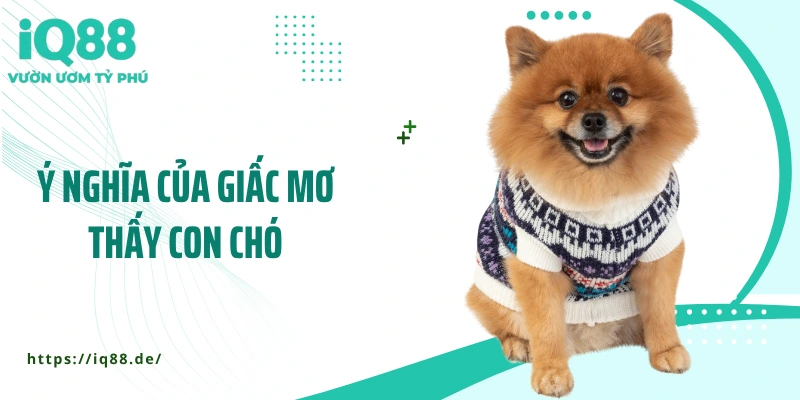 y-nghia-cua-giac-mo-thay-con-cho