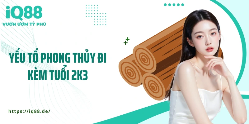yeu-to-phong-thuy-di-kem-tuoi-2k3